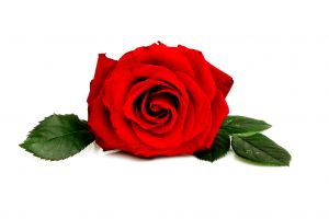 Short Romantic Love Poems Short Romantic Love Poems